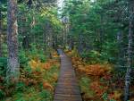 One of many national parks